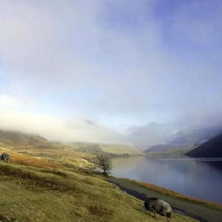 William Court Feriehus *