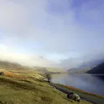 William Court Semesterbostad *